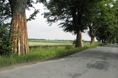 527 Rych-Jel po 30.jpg