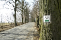 513 węz.Pas.Płn - Pasłęk 2.jpg