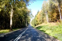 08.jpg