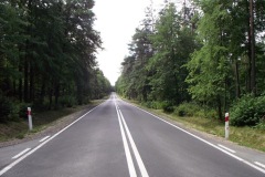 513 P-O wyc.drzew 4.JPG