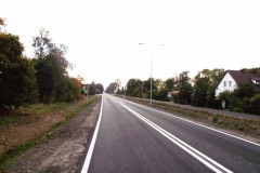 513 L-O wyc.drzew 4.JPG