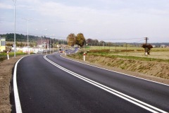 IMG_0018.JPG