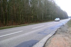 DSCF6169.jpg