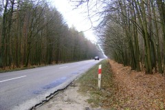 DSCF6171.jpg