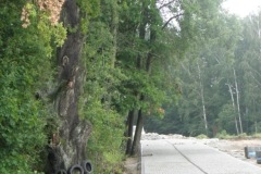 DSCF3028.jpg