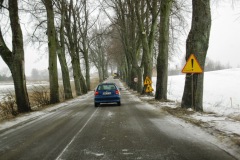 Kikoły - warstwa scieralna.JPG