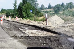 527 (9) porosty (łac. Lichenes).jpg