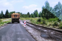 527 (8) pachnica dębowa (Osmoderma eremita).jpg