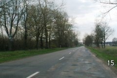 DSC04936.JPG